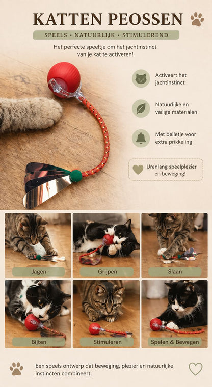 RoyalCat™ Interactieve Speelbal