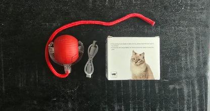 RoyalCat™ Interactieve Speelbal