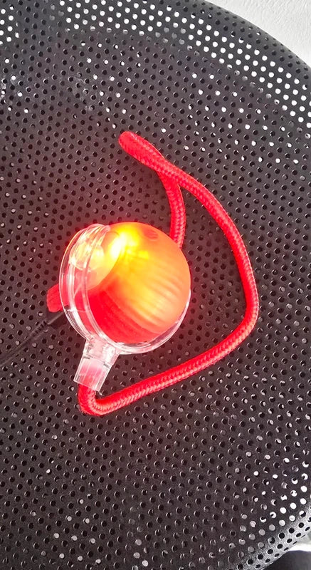 RoyalCat™ Interactieve Speelbal